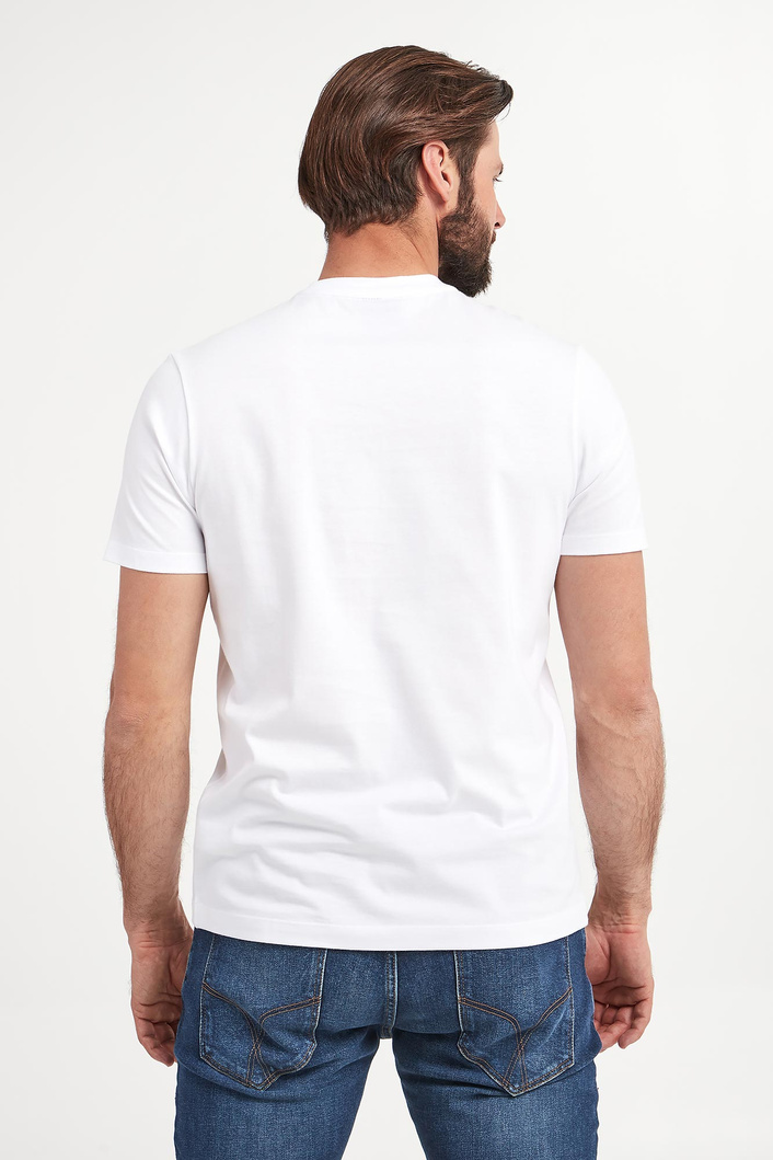 T-shirt męski PAUL&SHARK