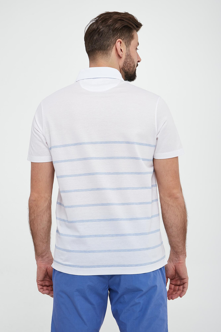 Polo męskie PAUL&SHARK