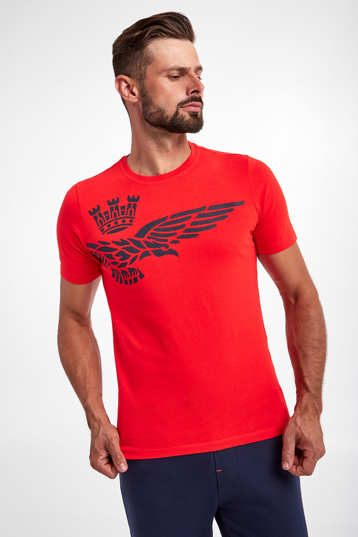 T-shirt AERONAUTICA MILITARE