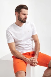 T-shirt męski PAUL&SHARK