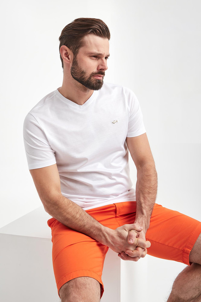 T-shirt męski PAUL&SHARK