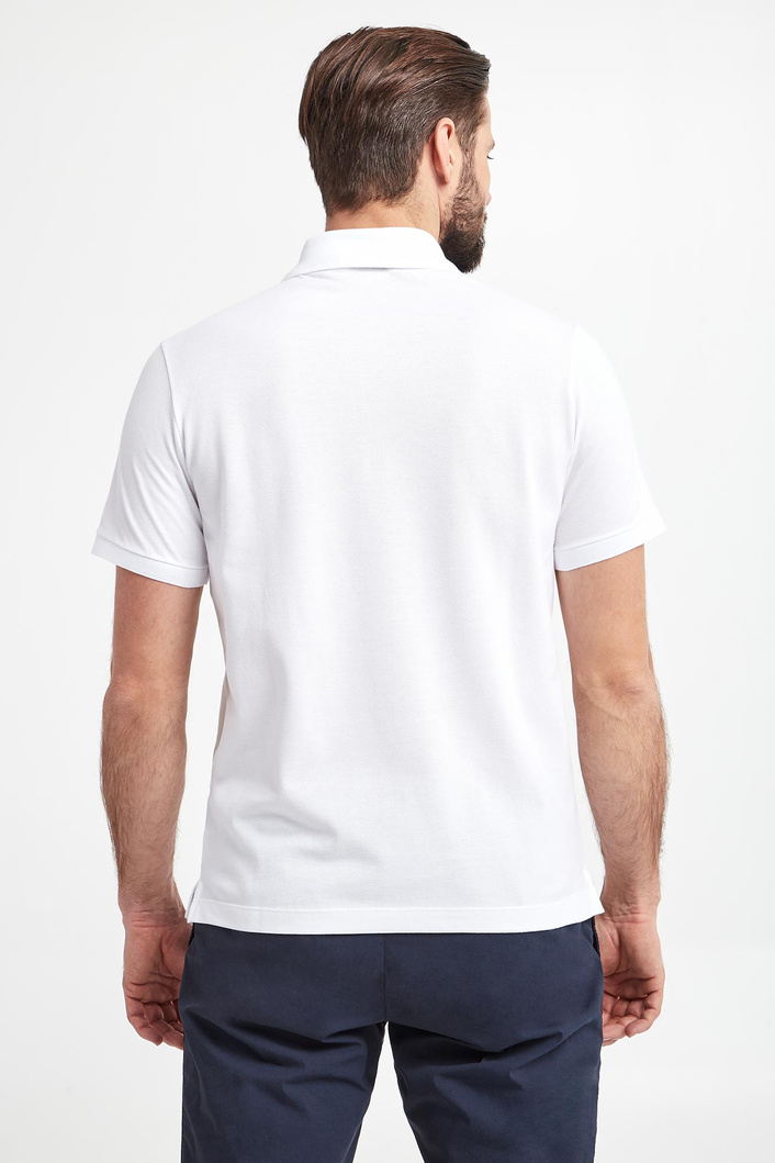 Polo męskie PAUL&SHARK