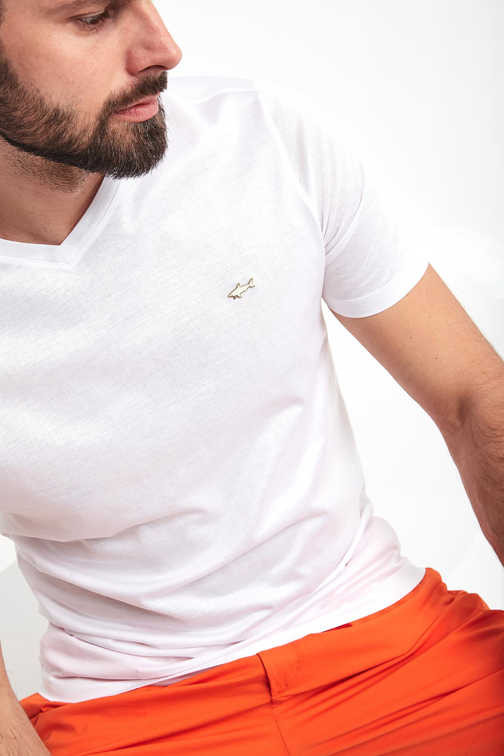 T-shirt męski PAUL&SHARK