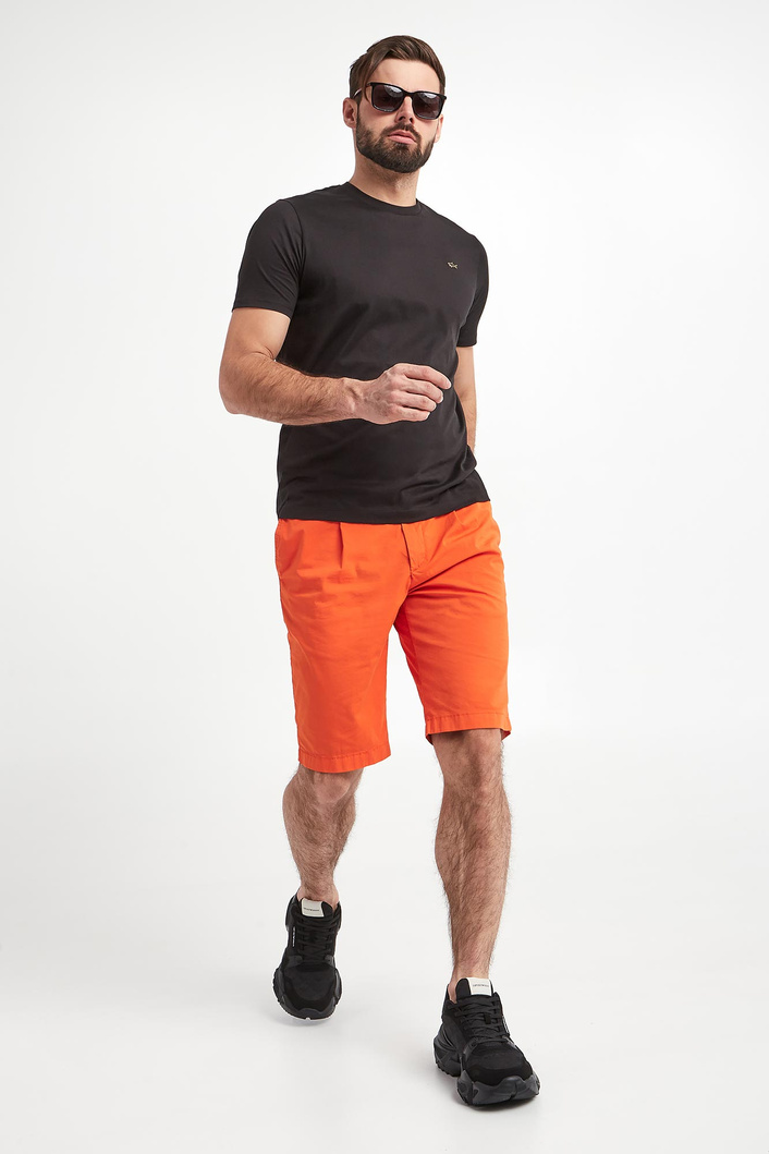 T-shirt męski PAUL & SHARK